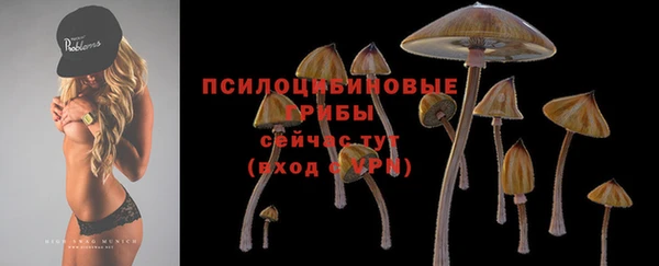 PSILOCYBIN Верхний Тагил