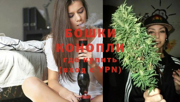 PSILOCYBIN Верхний Тагил
