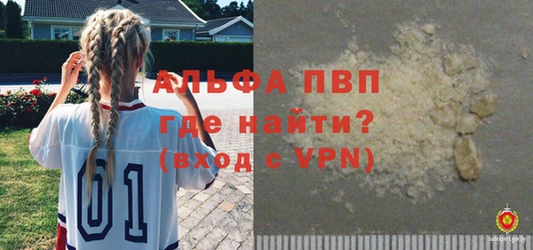 дживик Богородск
