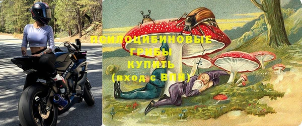 стафф Володарск