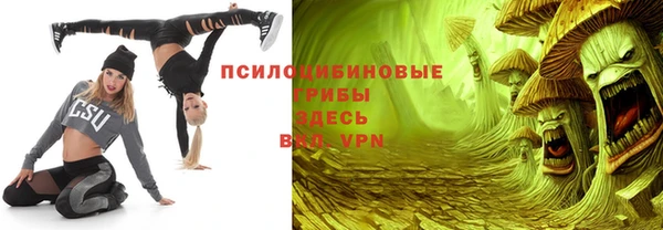 стафф Володарск